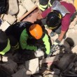 Terremoto: gatto Pietro vivo dopo 16 giorni sotto le macerie2