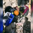 Terremoto: gatto Pietro vivo dopo 16 giorni sotto le macerie