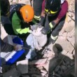 Terremoto: gatto Pietro vivo dopo 16 giorni sotto le macerie4