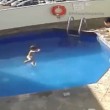 YOUTUBE Annegò figliatsra di 3 anni in piscina: condannato a 100 anni 3