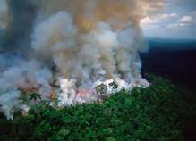 Incendi in Amazzonia