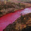 VIDEO YOUTUBE Fiume rosso sangue in Russia: sostanze chimiche nell'acqua