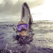 Sub scatta un selfie nell'oceano e dietro spunta...una balena FOTO