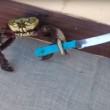 Granchio ruba coltello da cucina e lo brandisce contro lo chef2