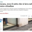 Topo si lava proprio...nel centro di Pescara FOTO