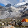 VIDEO YOUTUBE Valanga in India: intera montagna crolla a Zanskar 4