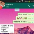 MAMME-SCRIVONO-WHATSAPP (30)