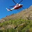 Usseglio, gregge di 50 pecore salvato con elicottero