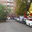 Maltempo Roma, albero crolla a ingresso scuola. Pino marittimo su auto a Talenti 2