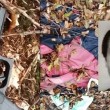 Va a cercare funghi, trova scheletro poliziotto scomparso un anno fa