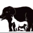 Quanti animali vedi? Illusione ottica fa impazzire gli utenti sul web FOTO