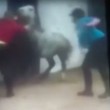 Calci e frustate al pony che non si ammaestrare VIDEO choc2
