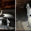Istalla telecamera di sorveglianza e riprende subito il ladro FOTO su Facebook