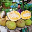 Jackfruit, il frutto che sfamerà il mondo01