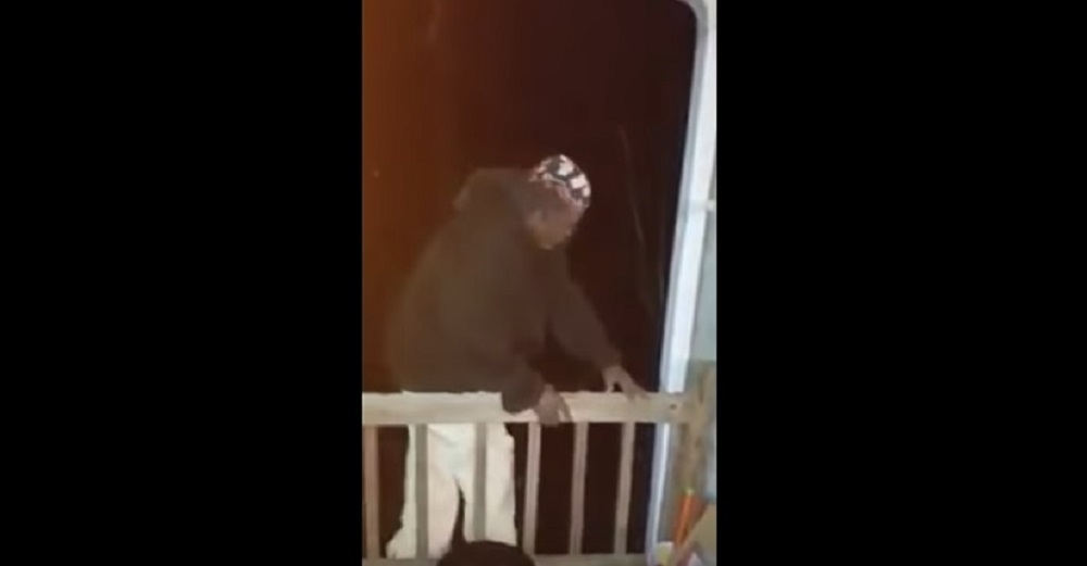 YOUTUBE Sbronzo crede di poter volare e si butta dal balcone