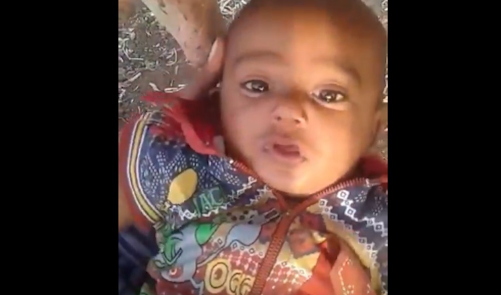 YOUTUBE Bimbo pazzo per il latte: beve direttamente dalla mucca