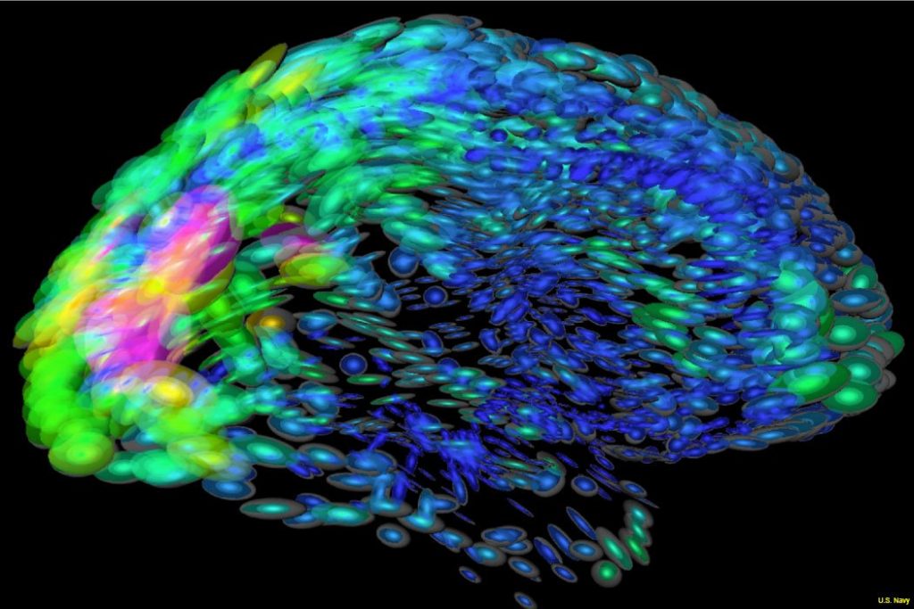 Sei disonesto? E' scritto nel tuo cervello: la biologia degli imbroglioni