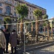 Milano, dopo le palme ecco i banani: riparte la polemica su piazza Duomo 23