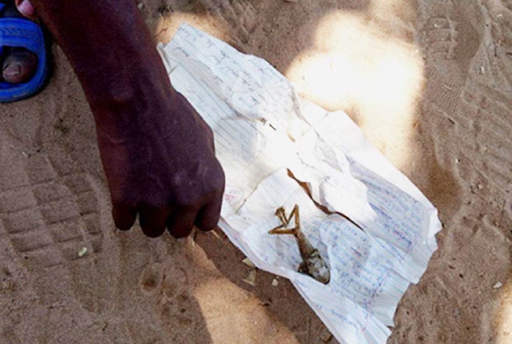 Zimbabwe: donna partorisce un "feto rana". Le FOTO choc