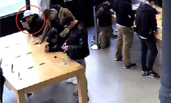 Ladri roditori all'Apple Store: rubano gli iPhone a morsi
