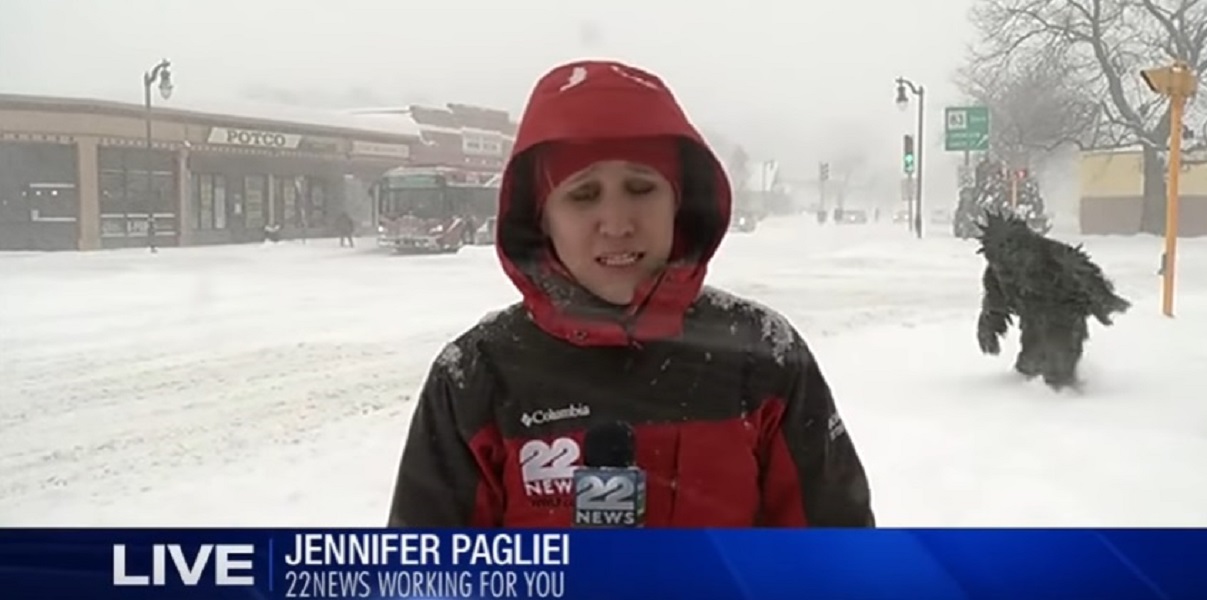 YOUTUBE Durante la diretta tv spunta Bigfoot coperto di marijuana