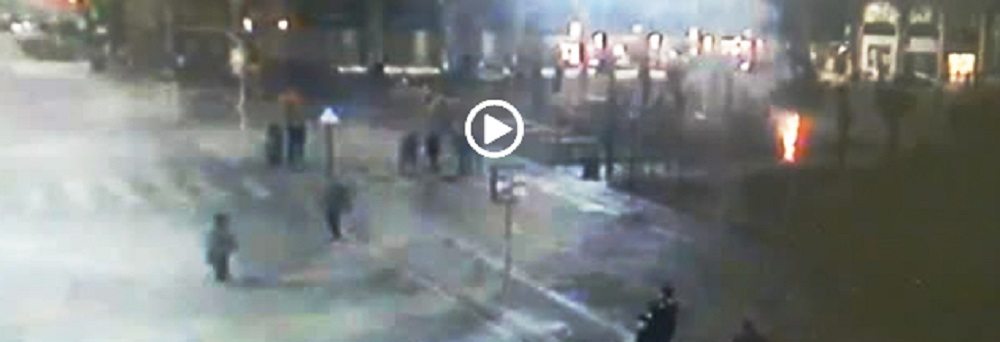 Milano, fuoco alle palme: è stato il MIA