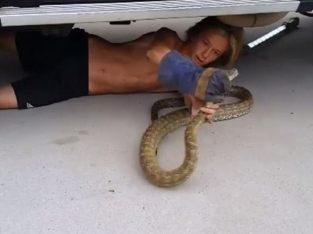 YOUTUBE A 14 anni toglie pitone lungo 2 metri da sotto la macchina di papà555