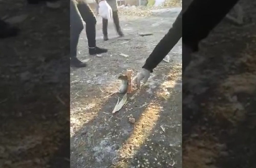 YOUTUBE Topolino legato al razzo prende il volo e...riesce a sopravvivere