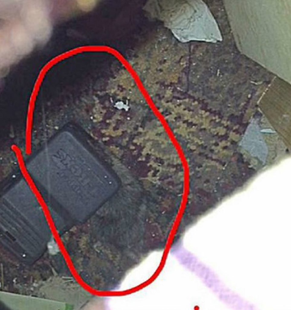 Gli cade smartphone a terra, sotto la sedia del pub trova un topo morto