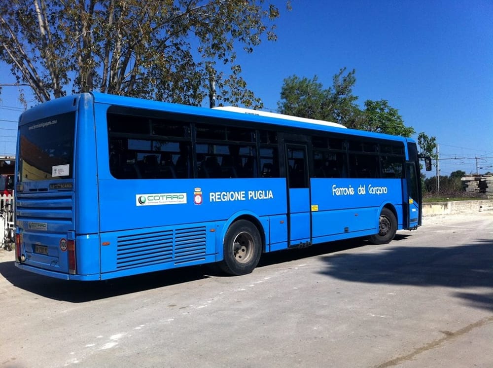 Luigi Fratepietro aggredisce col martelletto autista bus Canosa di Puglia: "Sei in ritardo"