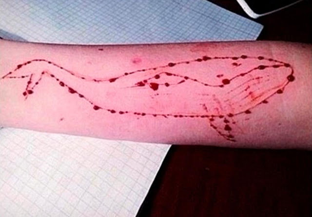 Blue Whale, 150 morti in Russia. Il gioco dei selfie suicidi e non solo...