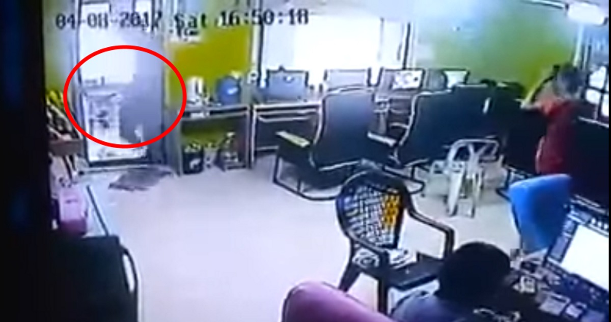 YOUTUBE Serpente "volante" attacca il cliente del negozio e scatta il panico