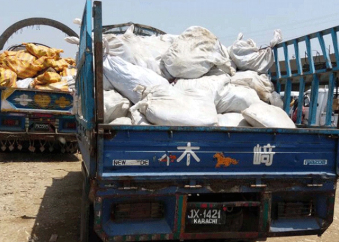 Carne e gelatina di asino: fa bene al cuore, è afrodisiaca. La Cina fa razzia nel mondo