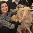 Laura Boldrini adotta due agnellini