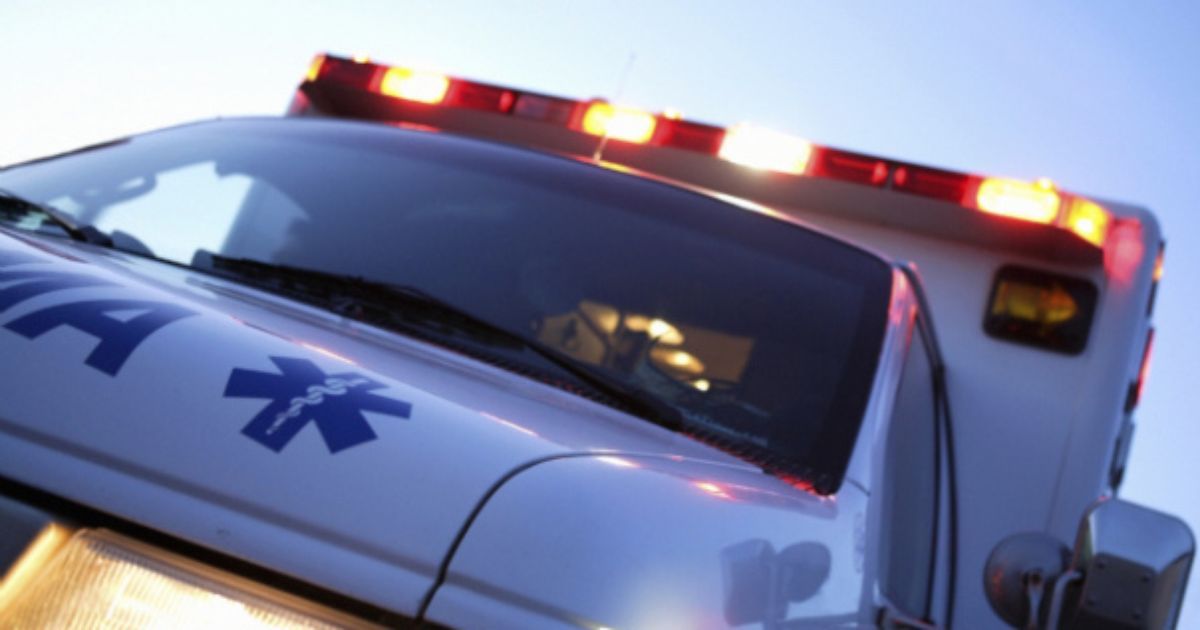 Super fungo letale in ospedale: allerta a New York, almeno 44 casi e 17 morti