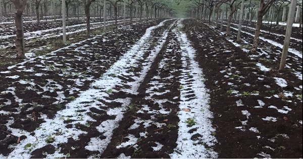 Cisterna di Latina, grandinata eccezionale2