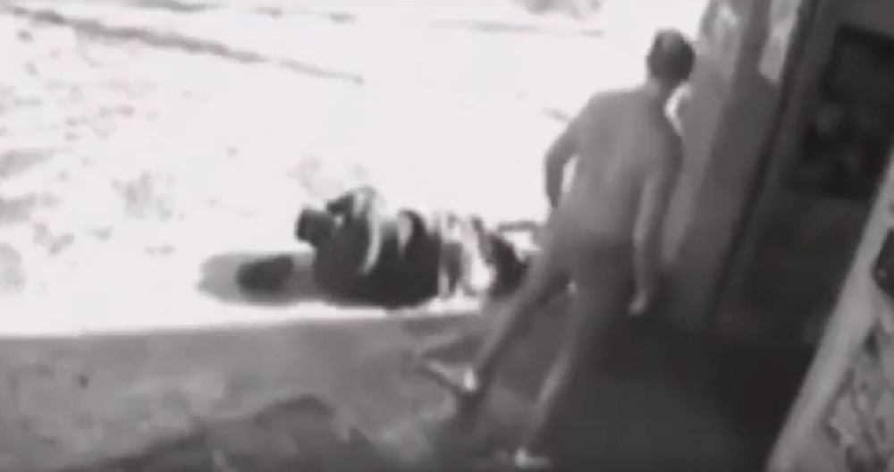 YOUTUBE Mosse di judo contro vandali ubriachi: così un negoziante si vendica