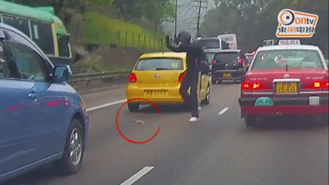 Motociclista mette in pericolo la sua vita pur di salvare un gattino