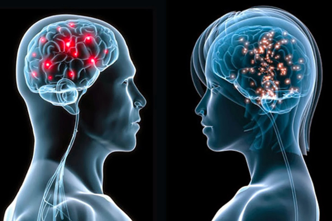 Milano, caso di meningite al liceo Leonardo Da Vinci: profilassi per studenti e prof