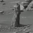 Il presunto albero avvistato su Marte