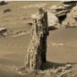 Ufologi avvistano antico albero su Marte