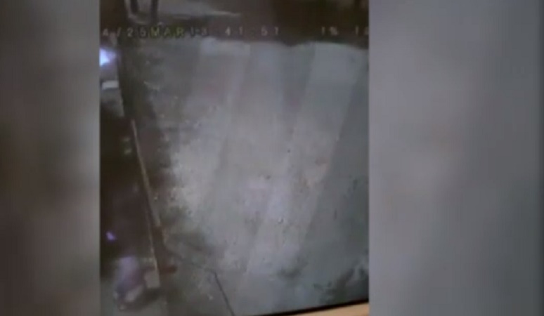 Foggia, cuccioli lanciati come sacchi di spazzatura oltre la rete del canile di Lucera