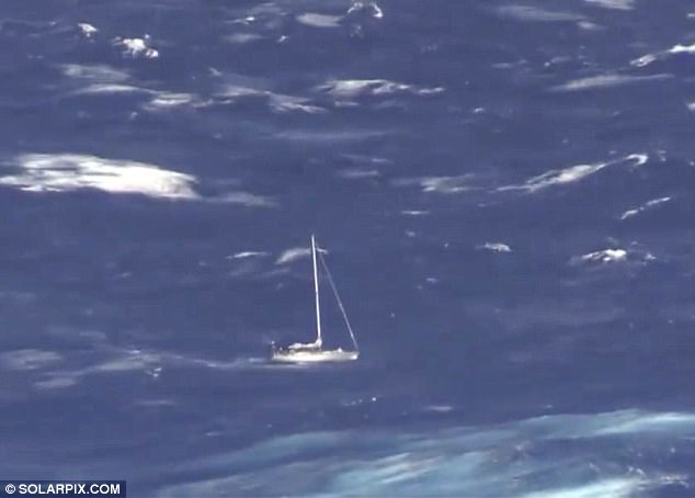 Barca vela distrutta da balena: tre persone tratte in salvo nell'Atlantico