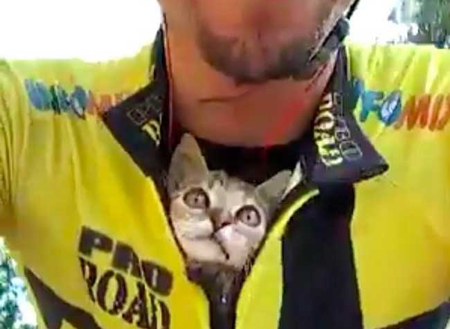 Gattino non smette di leccare il viso al ciclista che l'ha salvato