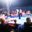 Orso del circo si avventa sul pubblico in Ucraina