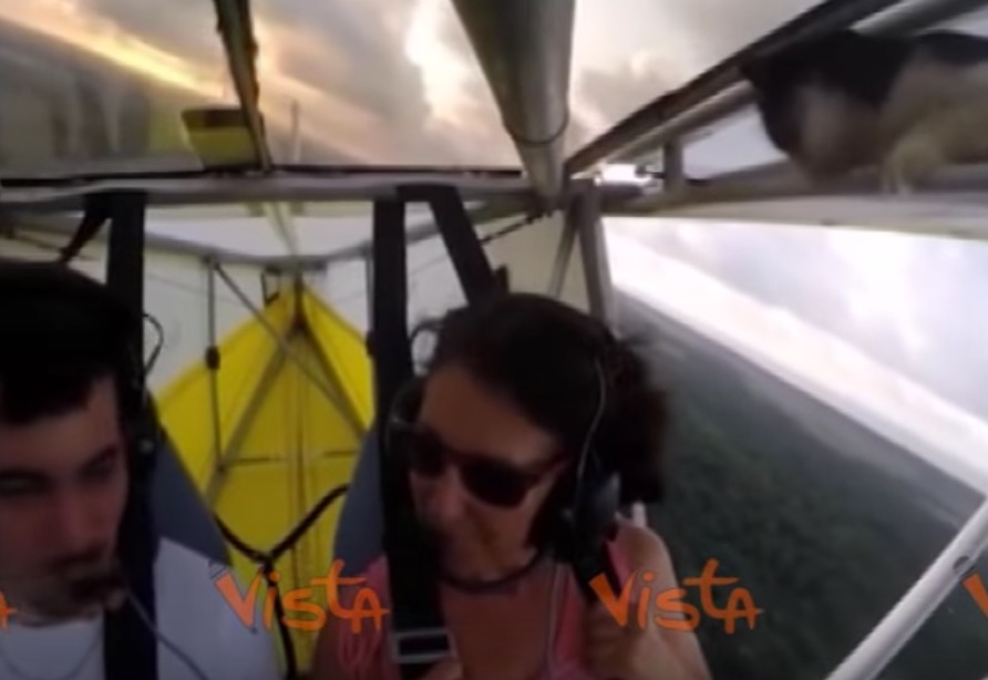 YOUTUBE Gatto in volo: pilota di ultraleggero si accorge del passeggero clandestino