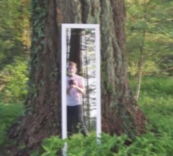 YOUTUBE Kevin Parry "attraversa" lo specchio nel bosco. In realtà...