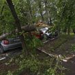 Alberi divelti a Mosca