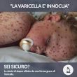 Vaccini, FOTO malattie Pensi ancora che morbillo, epatite B, difterite