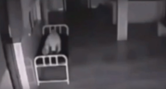 YOUTUBE Anima lascia il corpo di una donna: video fake o realtà?